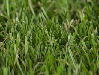 Artificial-Grass